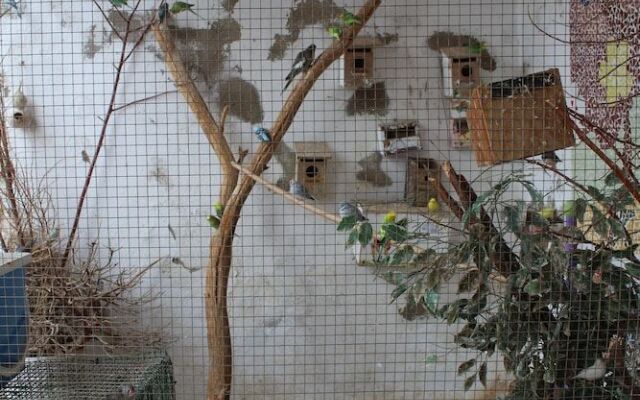 Albergue Camino de Santiago - Hostel