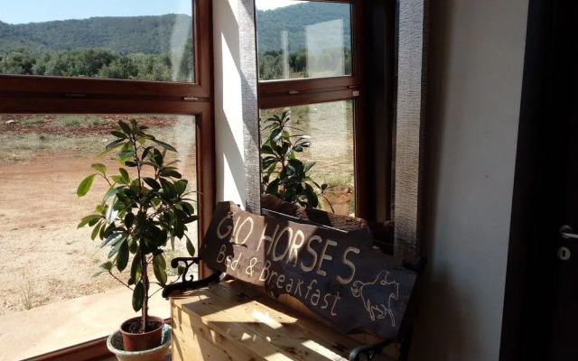 Gio Horses B&B