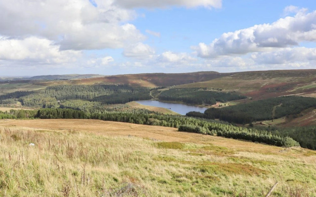 The Shearer's Hut