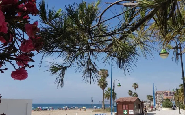 "Vero Vijola" in Torrevieja