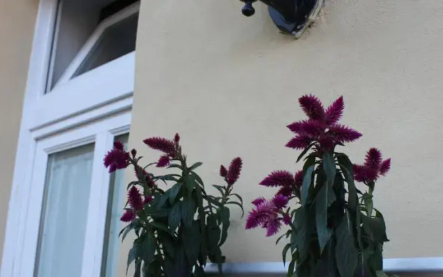 Bed  Breakfast Piazzetta Consolata