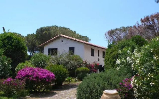 Cottage Morus