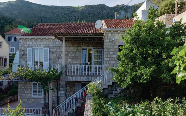 Apartments Ankora