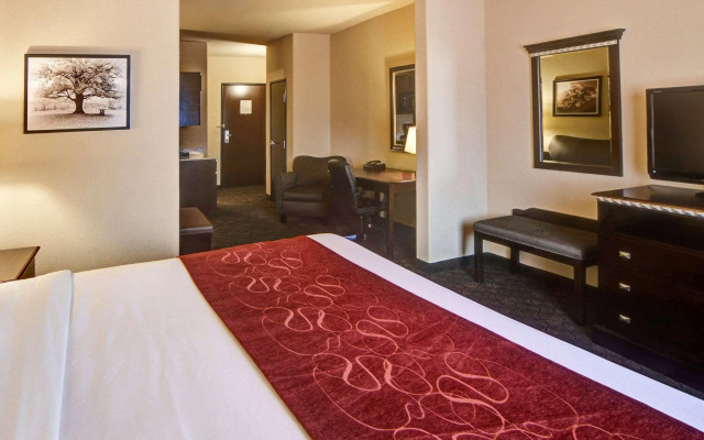 Comfort Suites Arlington - Entertainment District