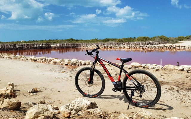 Reef Yucatan Hotel and Convention Center All Inclusive
