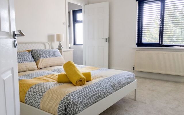 Deluxe Contemporary House - DHH