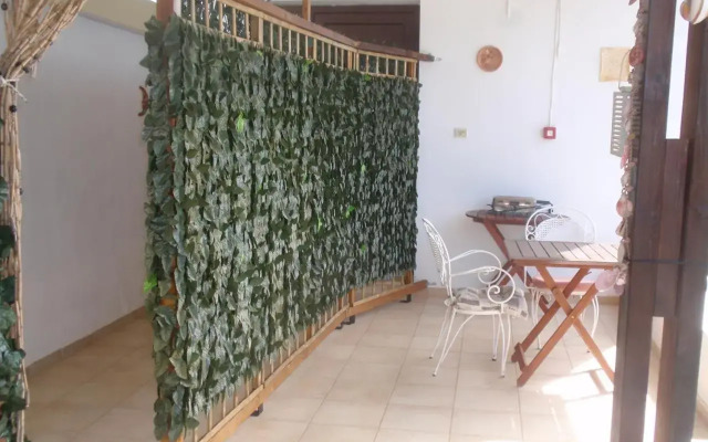 Traditional Studio