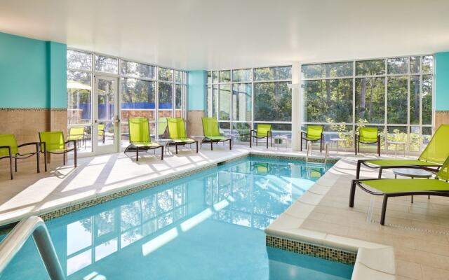 Springhill Suites By Marriott Frederica