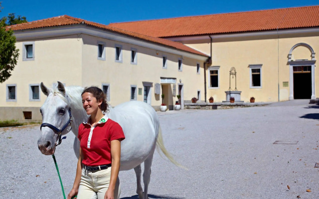 Hotel Maestoso