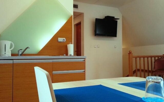 Hotel Villa Ostrava 3+