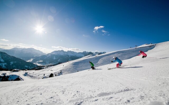 Chalet Aster