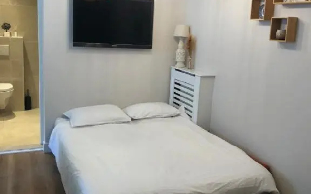 Luxe studio De Krasse Keizer - Volendam