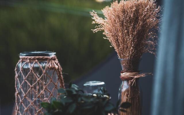 Reves2bulles (Adults Only)