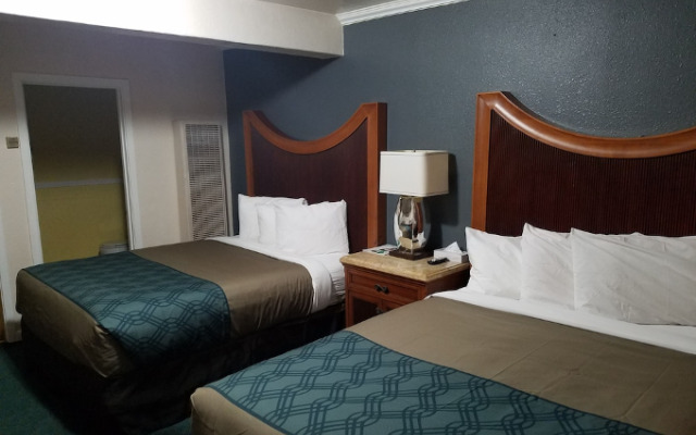 Pine Tree Chalet by RedAwning