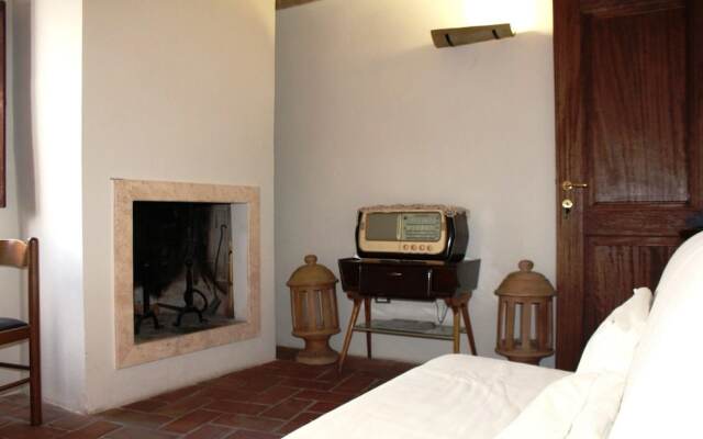 Orso - Parco Nazionale d'Abruzzo