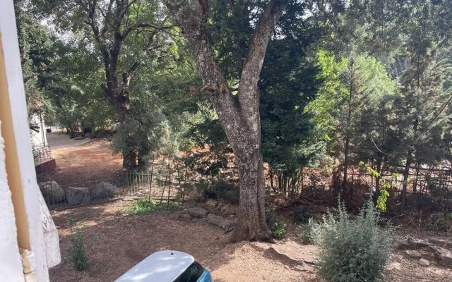 Chalet Ifrane