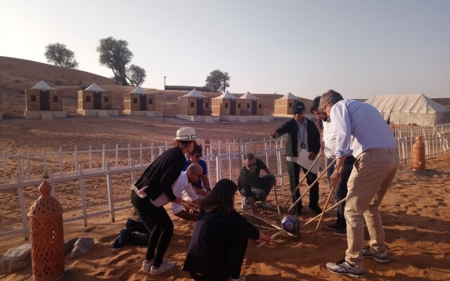 Bedouin Oasis Camp