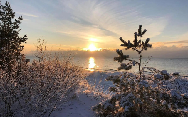 Žalia Kopa Apartments