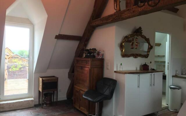 La Terrasse du Chevalier d'Eon - Loft à TONNERRE