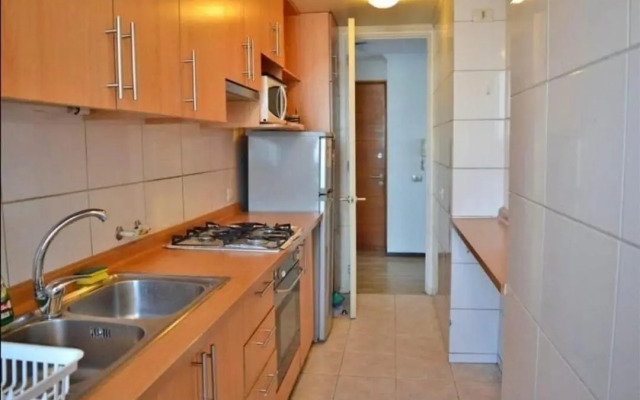 Departamento en Avenida Providencia