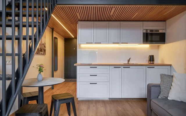 Queen Barbora Central Lofts