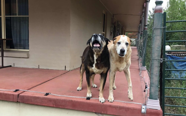 Winnamatta Guest House