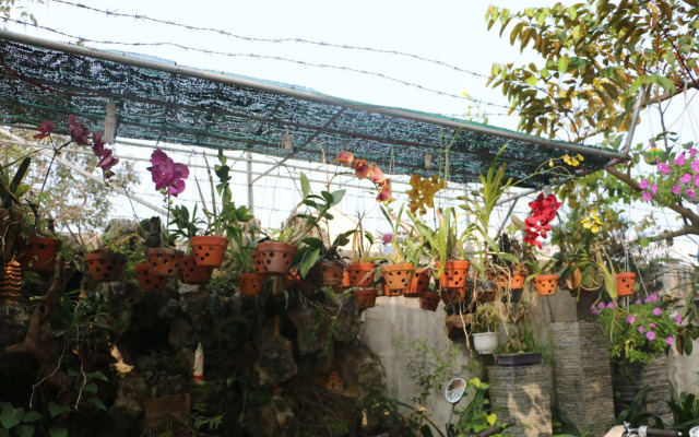 Tan Phuong Homestay