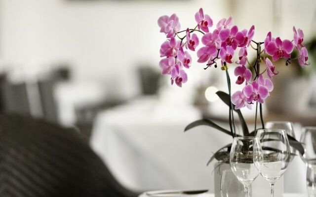 The Richardson Hotel & Spa