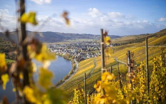 Rieslingquartier - Mosel Wein Hotel
