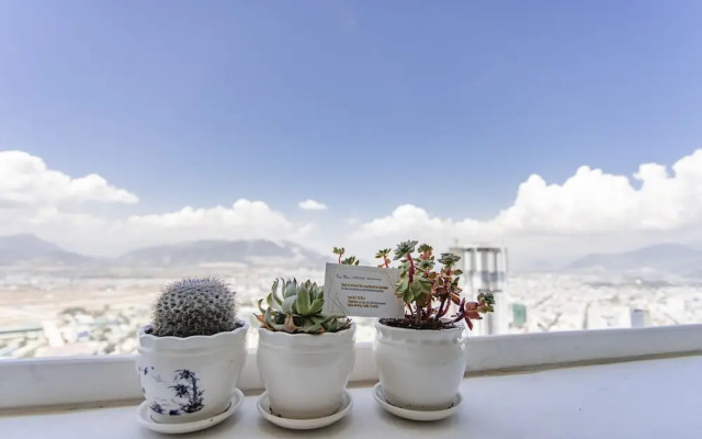Beach Front Apartment