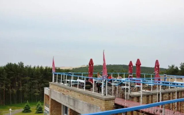 Plunksna