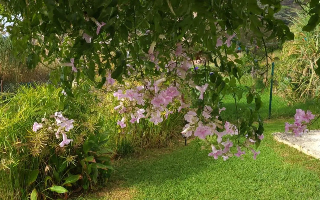 Rancho Blanco Tarifa