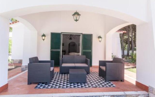 Ocean, Pines and Mountain