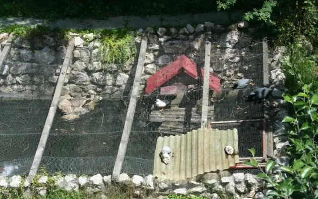 Casa Sucea
