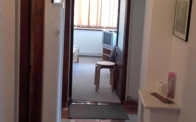 Apartment Nucu I