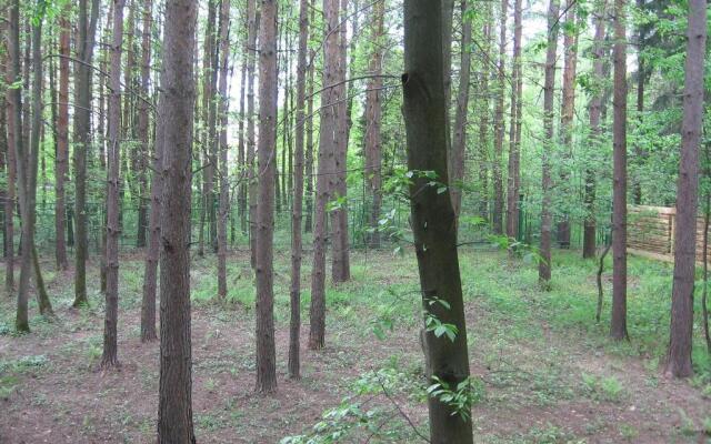 Dachniy Hostel