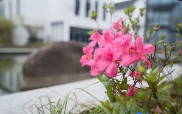 Huangshan Huijiyunge Guesthouse