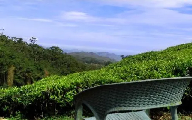 Royal Terrace Holiday Bungalow