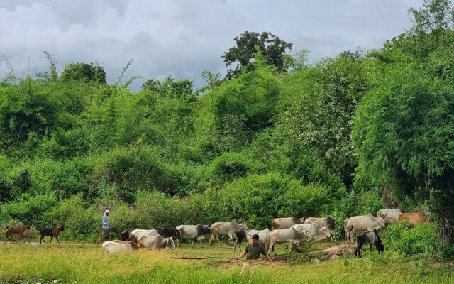The Untamed Bandhavgarh by TUTC