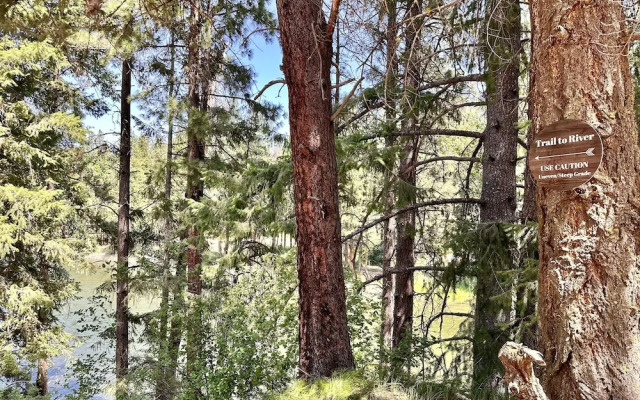 River Song Cabin 3 Bedroom Home