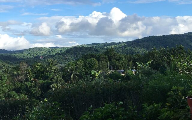 Treetops Villa