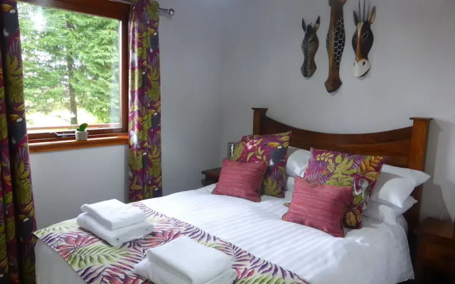Hazel Lodge 26 with Hot Tub, Newton Stewart