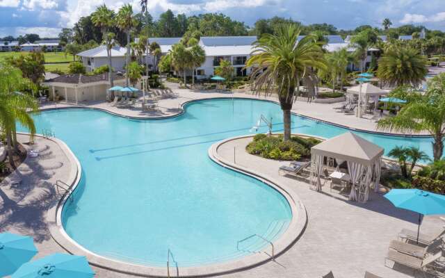 Saddlebrook Golf Resort & Spa Tampa North - Wesley Chapel