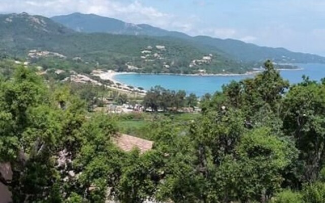 Apartment GINA - Sea view - Favone Apartment 2