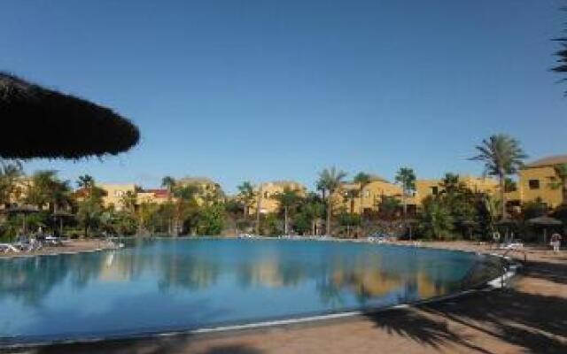 Oasis vistamar2