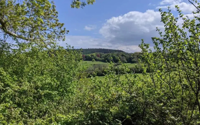 No7 Glan Nodwydd