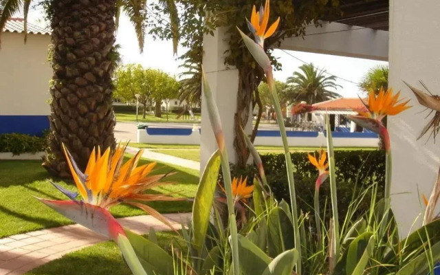 Parque De Campismo De Porto Covo