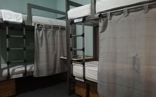Tree House Hostel
