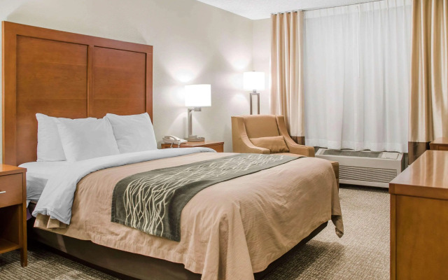 Comfort Inn Idaho Falls