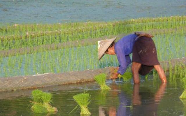 Ha Giang Homestay